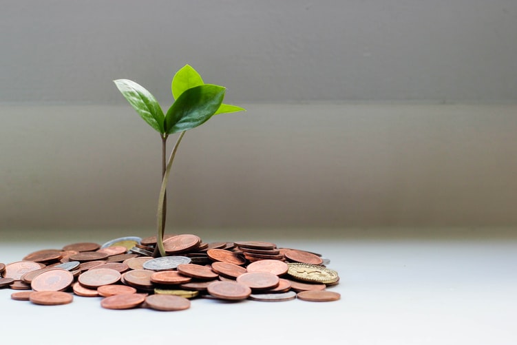 Investasi Berkelanjutan MLP013